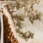 high school senior portraits, Valencia photographer, Los Angeles photographer